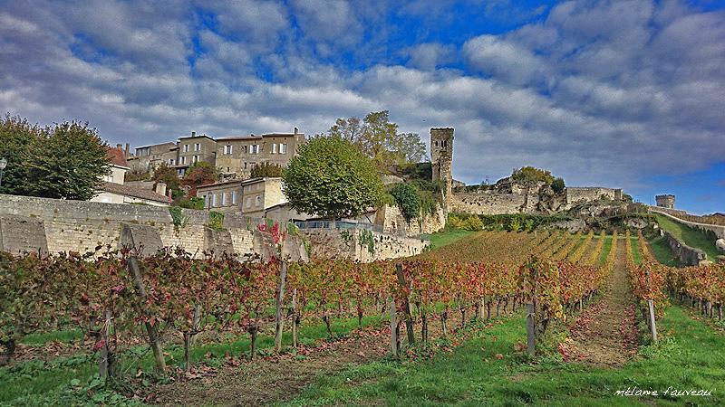 Fasthotel - Saint Emilion Est 몽까레 외부 사진